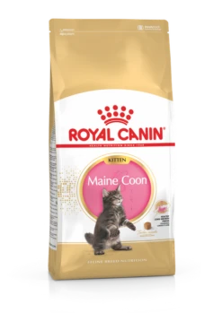 Royal Canin Maine Coon Chaton Pour Chat 4kg