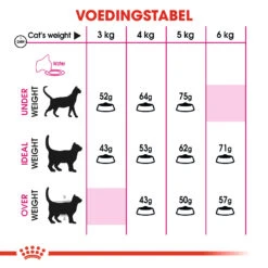Royal Canin Protein Exigent Pour Chat 2kg -Magasin De Fournitures Pour Chats 0940f9380e24fd6977e0166039f34726c27c9abe12319f295b4029f84f5c8e3e