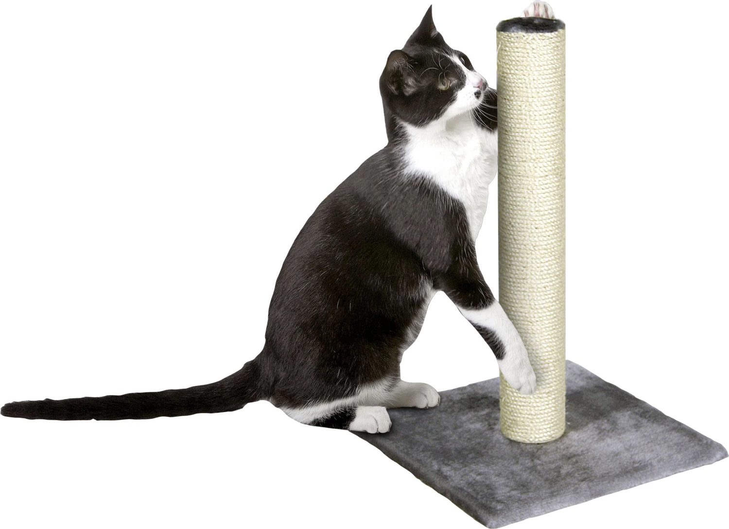 Flamingo Griffoir Polset Large Gris 38x38x59 3 Flamingo Griffoir Polset Large Gris 38x38x59