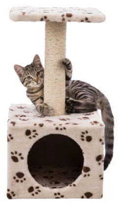 Trixie Junior Arbre À Chat Zamora 60 Cm -Magasin De Fournitures Pour Chats 296430a49650021715428d96024094018a9344f44bd305f178e0c7dc9eaccf76
