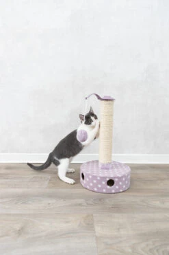 Magasin De Fournitures Pour Chats -Magasin De Fournitures Pour Chats 2d7dea4dcaa1aace9c9c4f97720eee602a74a7c61b1934445062f9debb59b71e