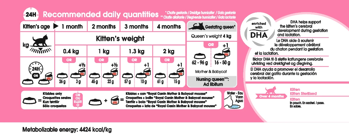 Royal Canin Mother & Babycat 2kg 4 Royal Canin Mother & Babycat 2kg – Image 2