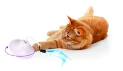 Flamingo Jouet Chat Scully Electro Dia. 9,7cm -Magasin De Fournitures Pour Chats 3d4ac882144732a573bc9a9fe49e8486bec0b72ce14c568f12cc401fda006346