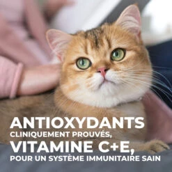 Hill's Science Plan Young Adult Sterilised - Poulet - 1,5 Kg -Magasin De Fournitures Pour Chats 513a5cf0d62442032d9ee55a67ec2324540993f1bdcabb32f01cb9250a0ec84f