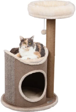 Magasin De Fournitures Pour Chats -Magasin De Fournitures Pour Chats 5215717979623dd07d310bf0c4dcc046b79609ac71e1b8da15e10b740e924b3d