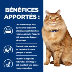 Hill's Prescription Diet K/D + Mobility Sachets Repas Pour Chat Au Poulet 12 X 85g -Magasin De Fournitures Pour Chats 52742011561 3 FR