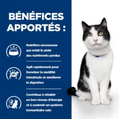 Hill's Prescription Diet I/D AB+ Mijotés Pour Chat 24 Boites De 82g -Magasin De Fournitures Pour Chats 52742039893 3 FR