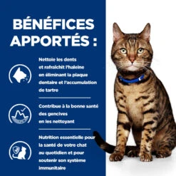 Hill's Prescription Diet T/d Dental Croquettes Pour Chat Au Poulet 3kg -Magasin De Fournitures Pour Chats 52742041995 3 FR 1