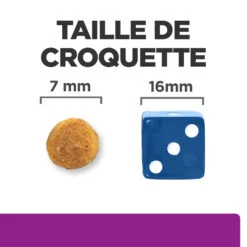 Hill's Prescription Diet Y/D Thyroïd Croquettes Pour Chat Au Poulet - 3Kg -Magasin De Fournitures Pour Chats 52742042503 4 FR