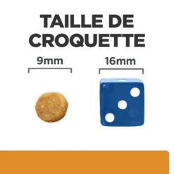 Hill's Prescription Diet K/D J/D Kidney + Mobility Croquettes Pour Chat Au Poulet - 1.5Kg 13 Hill's Prescription Diet K/D J/D Kidney + Mobility Croquettes Pour Chat Au Poulet - 1.5Kg -Magasin De Fournitures Pour Chats 52742044767 4 FR