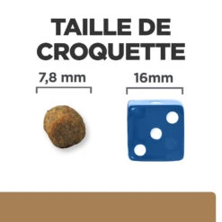 Hill's Prescription Diet J/D Mobility Croquettes Pour Chat Au Poulet 1.5kg -Magasin De Fournitures Pour Chats 52742048352 4 FR