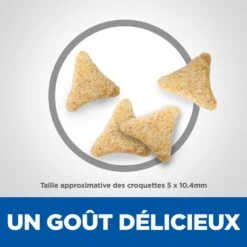 Hill's Hill’s Science Plan Mature Adult Hairball & Indoor Poulet 1,5kg -Magasin De Fournitures Pour Chats 52742761008 4 science plan chat hairball indoor chat g interieur croquettes poulet