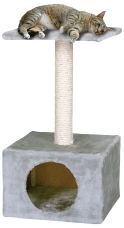 Arbre À Chat Hedvika