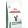 Royal Canin Diabetic Pour Chat 3,5kg 1 Royal Canin Diabetic Pour Chat 3,5kg -Magasin De Fournitures Pour Chats 69bd9452ede7374a999893986afb1b04ed843d85194de34d89d72e21c61ed333