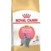 Royal Canin British Shorthair Chaton 2kg -Magasin De Fournitures Pour Chats 76d0c27720d8be3f26fef9af79fca283991a0766a0ae16725fdcb34b6413088f