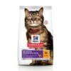 Hill's Science Plan Adult Sensitive Skin Pour Chat 1,5kg 2 Hill's Science Plan Adult Sensitive Skin Pour Chat 1,5kg -Magasin De Fournitures Pour Chats 78d20620f219b6c2e1107d873cb40fd1a6854bf5eef5790a684b11f9ab8f8e82