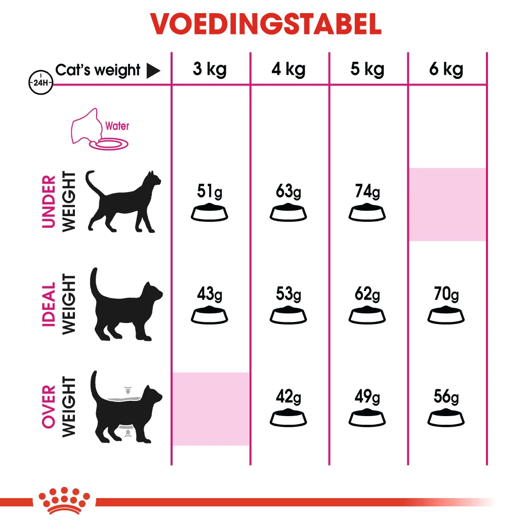 Royal Canin Savour Exigent Pour Chat 2kg 4 Royal Canin Savour Exigent Pour Chat 2kg – Image 2