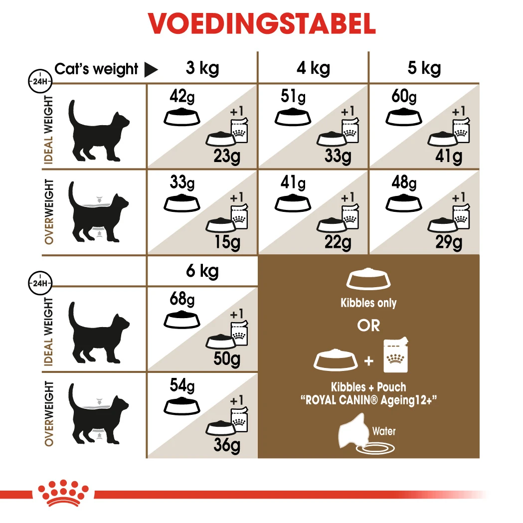 Royal Canin Ageing 12+ Pour Chat 2kg 4 Royal Canin Ageing 12+ Pour Chat 2kg – Image 2