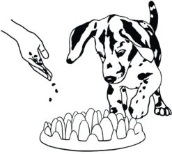 Flamingo Gamelle Anti-glouton Northmate Green Mini 29x22,5x7cm -Magasin De Fournitures Pour Chats b74acb27fc8671dd3a6a347beb8b4d678a9f6bea25d7cfd99894003e8e580dae