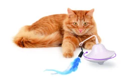 Flamingo Jouet Chat Scully Electro Dia. 9,7cm -Magasin De Fournitures Pour Chats b9844104c47250fc7f535f3590b1b4419bc7e40968ece37baf777bb09b2f8ccf