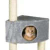Arbre À Chat Irena -Magasin De Fournitures Pour Chats eca10e5632f1a26946a1370c19e35bb42fec06a6886961de5b25ebd71f1436eb