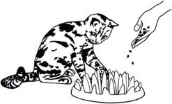 Flamingo Gamelle Anti-glouton Northmate Catch 27x23x8cm Violet -Magasin De Fournitures Pour Chats edc72a656a40ed0f4f4be75cc91ef98d23cf8175636af623d70d9fdbaf48c07a