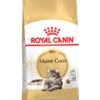 Royal Canin Maine Coon Adult Pour Chat 10kg