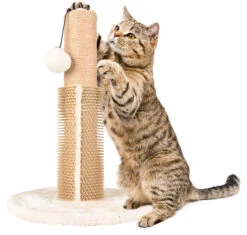 Flamingo Arbre à Chat Sno 1 Crème 30x30x41,5cm 7 Flamingo Arbre à Chat Sno 1 Crème 30x30x41,5cm -Magasin De Fournitures Pour Chats fc2e6b1e878683bd3162631ad4082d8bfbaafd442bb62b160fb2ad3bbabe9ac7