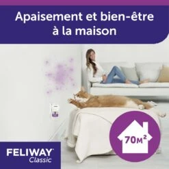Feliway Classic Pack 3 Recharges Pour Diffuseur 48ml -Magasin De Fournitures Pour Chats feliway diffuseur classic 3recharges 4 FR