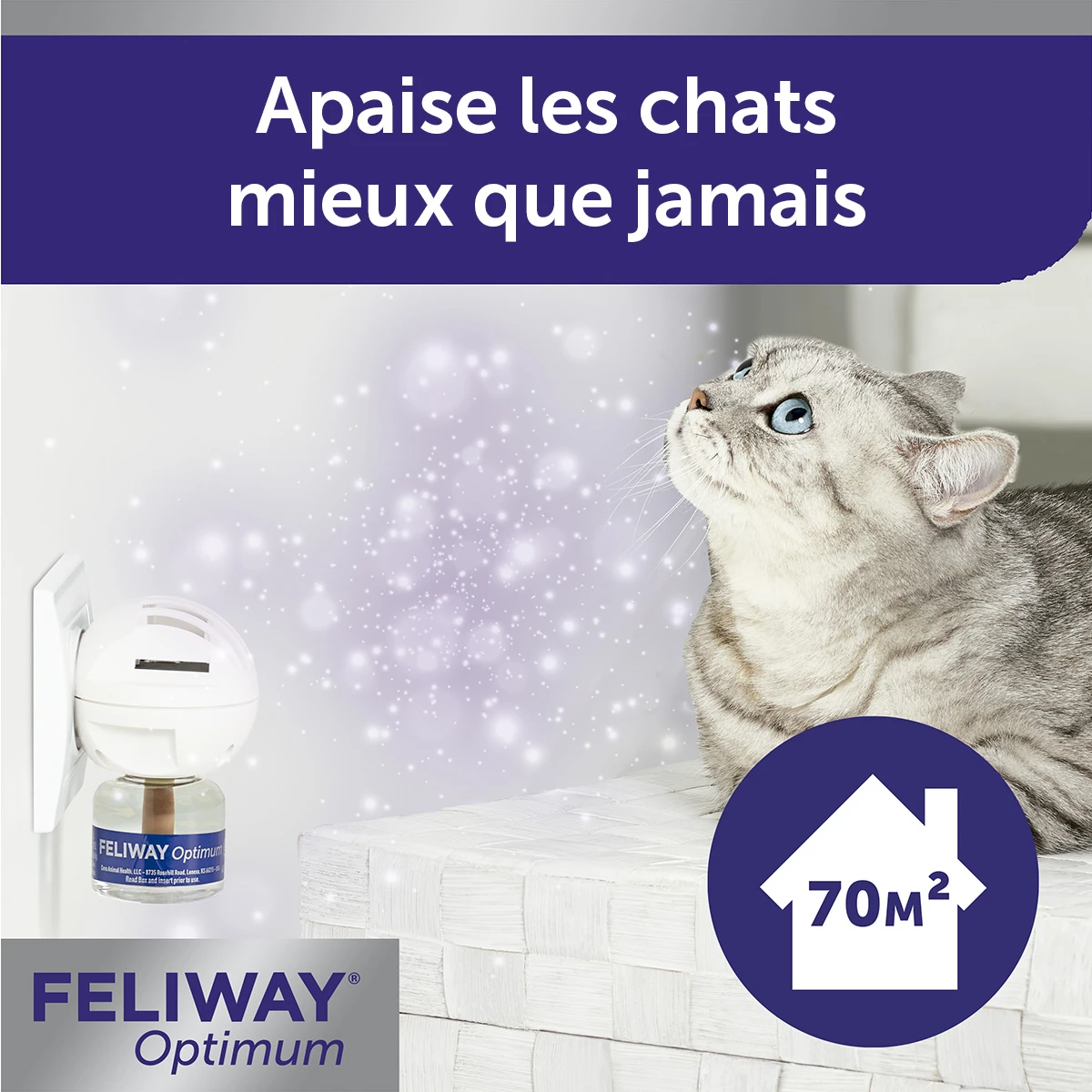 Feliway Optimum Diffuseur Et Flacon 8 Feliway Optimum Diffuseur Et Flacon – Image 6