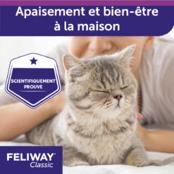 Feliway F3 Spray 60 Ml -Magasin De Fournitures Pour Chats feliway spray 60ml 4 FR