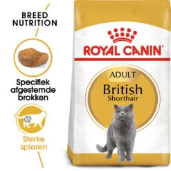 Royal Canin British Shorthair Pour Chat 4kg -Magasin De Fournitures Pour Chats rc fbn britishsh mv eretailkit nl nl 1