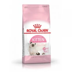 Royal Canin Chaton 10kg -Magasin De Fournitures Pour Chats royal canin kitten second age kitten second age