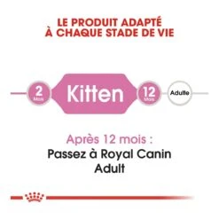 Royal Canin Chaton 10kg -Magasin De Fournitures Pour Chats royal canin kitten second age kitten second age 2