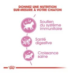Royal Canin Chaton 10kg -Magasin De Fournitures Pour Chats royal canin kitten second age kitten second age 3