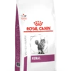 Royal Canin Renal Pour Chat 4kg -Magasin De Fournitures Pour Chats vhn vital support renal cat dry packshot med. res. basic 394218 1
