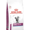 Royal Canin Renal Special Pour Chat -Magasin De Fournitures Pour Chats vhn vital support renal special cat dry packshot med. res. basic 394251